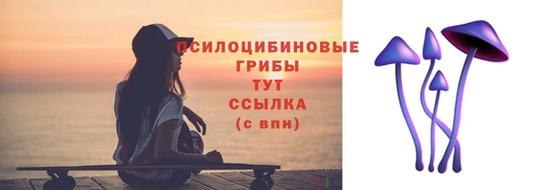ПСИЛОЦИБИНОВЫЕ ГРИБЫ Зеленокумск