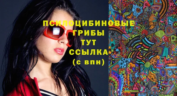 ПСИЛОЦИБИНОВЫЕ ГРИБЫ Зеленокумск