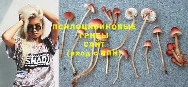 ПСИЛОЦИБИНОВЫЕ ГРИБЫ Зеленокумск