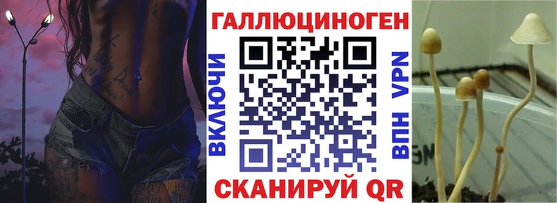 Купить  Рубцовск  Галлюциногенные грибы MAGIC MUSHROOMS 